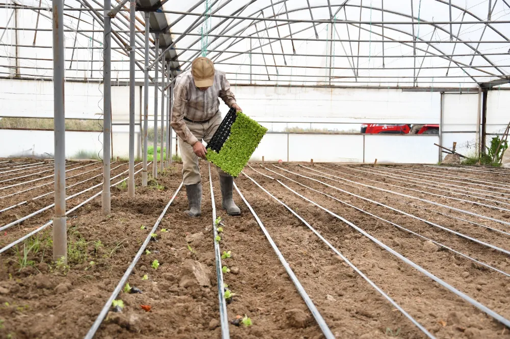 Büyükşehir desteğiyle topraklar bereketlendi